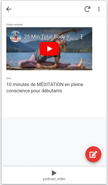 interface de la vue détaillée d'une application de streaming vidéo dans appsheet