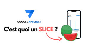Lire la suite à propos de l’article Avez-vous déjà utilisé les SLICES dans AppSheet?